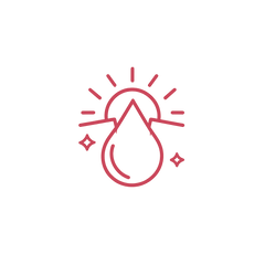 SS - Wellness template AI Icon 1 2